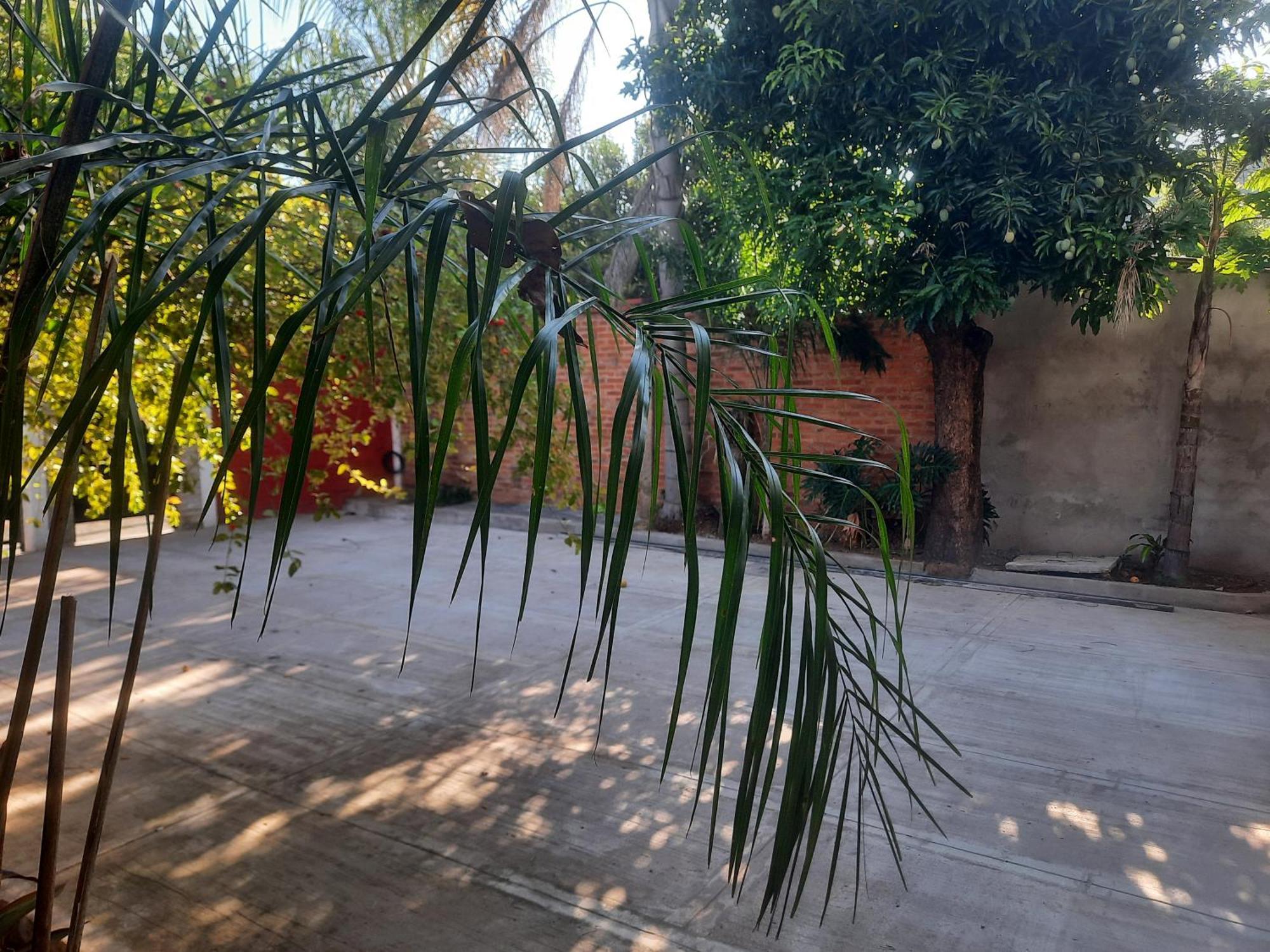 La Posada De Dante Puerto Iguazu Exterior photo